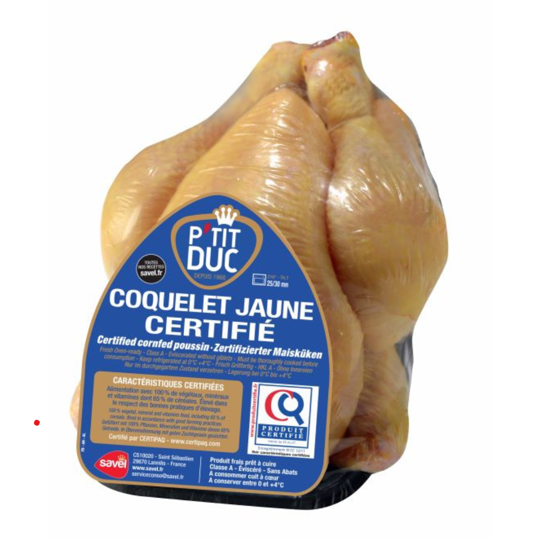 Poussin – Młody Kurczak Karmiony Kukurydzą