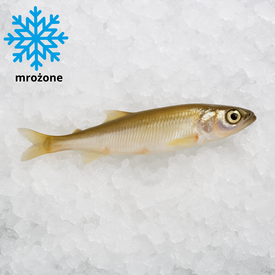 Stynka mrożona / Aterynka  mrożona 1kg
